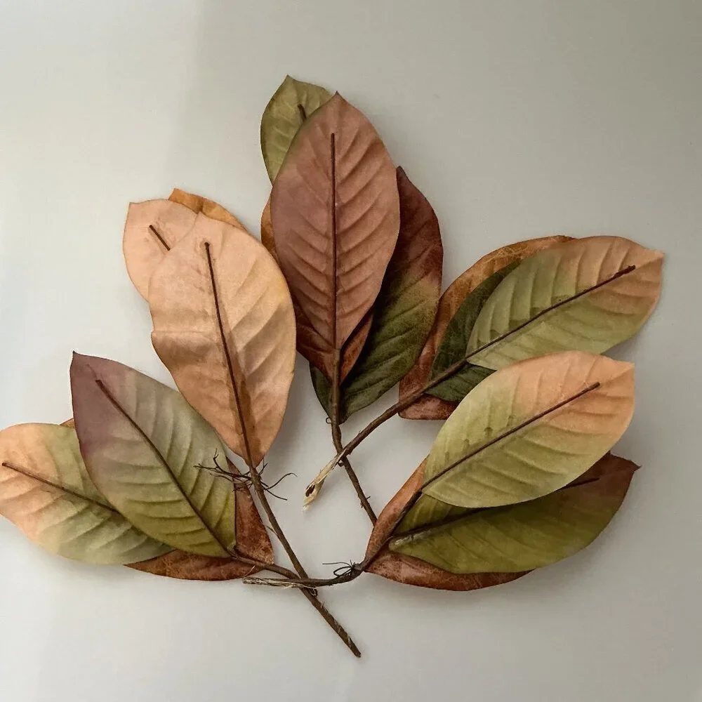 MAGNOLIA BIG LEAVES  DIY BUNDLE CRAFTS HOME DECOR 30 LEAVES 4 BRANCHES